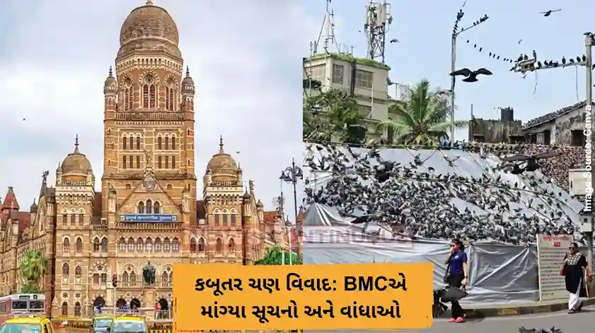 કબૂતર ચણ વિવાદ BMCએ માંગ્યા સૂચનો અને વાંધાઓ