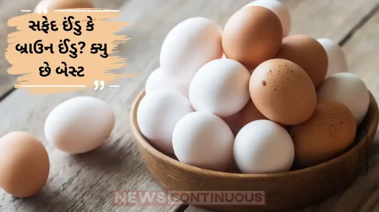 Brown vs White Eggs Which One Offers More Nutrition and Protein?