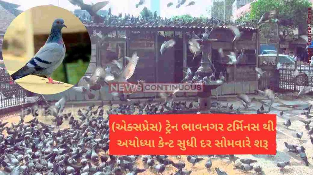 Dadar Kabutar khana મુંબઈના દાદર કબૂતરખાનાને હટાવવા મધરાતે મનપાની