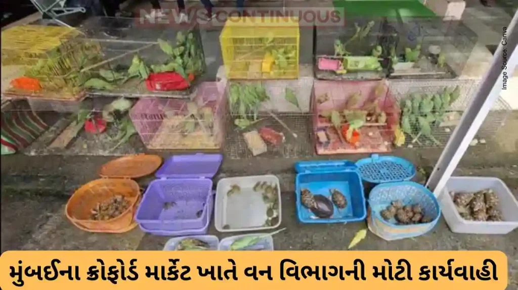 Forest Department Action: 226 Protected Animals Seized from Mumbai's Crawford Market