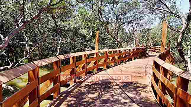 Kandlavan Park ગોરાઈ પછી હવે મુંબઈ ના આ વિસ્તારો માં ઊભા થશે મેંગ્રોવ પાર્ક