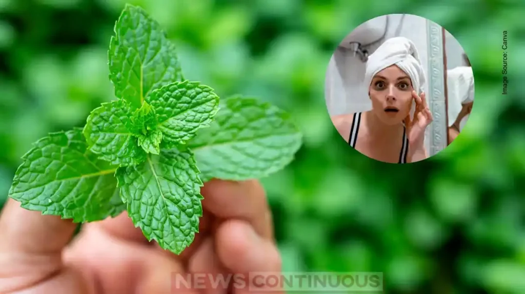 Mint Leaves for Dark Circles: Try These Natural Beauty Hacks for Fresh and Beautiful Eyes