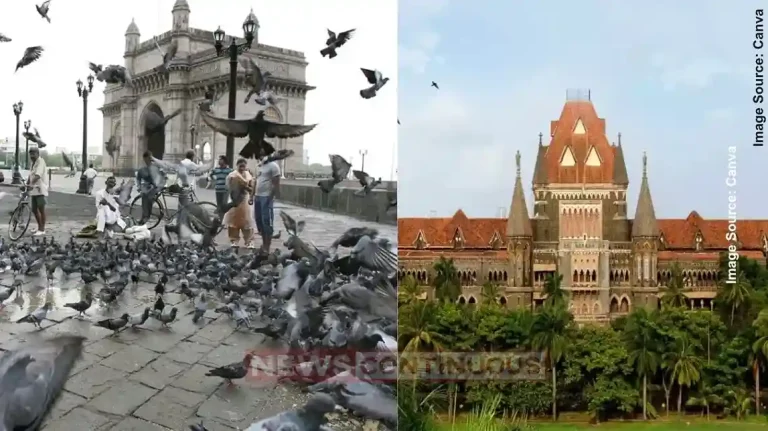 Pigeon Feeding કબૂતરખાના વિરુદ્ધ બોમ્બે હાઈકોર્ટનો નિર્ણય સુપ્રીમ કોર્ટે યથાવત રાખ્યો, શહેરમાં કબૂતરોને ખવડાવવા પર પ્રતિબંધ