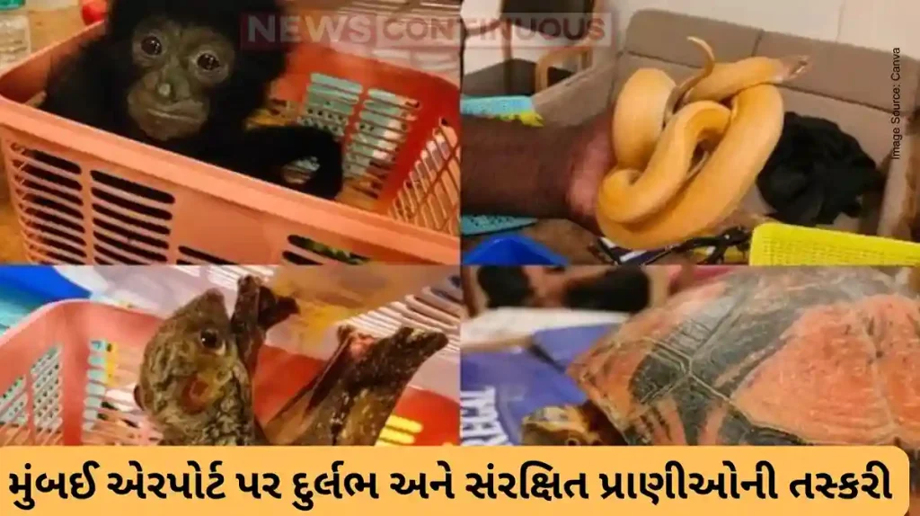 Rare Wildlife Smuggling Foiled at Mumbai Airport; Passenger Arrested