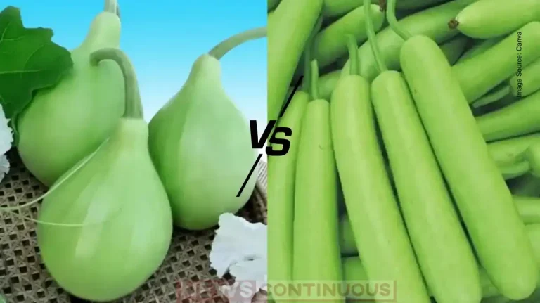 Round vs Long Bottle Gourd Which One Is Healthier and Tastier? Know the Key Differences Before Buying