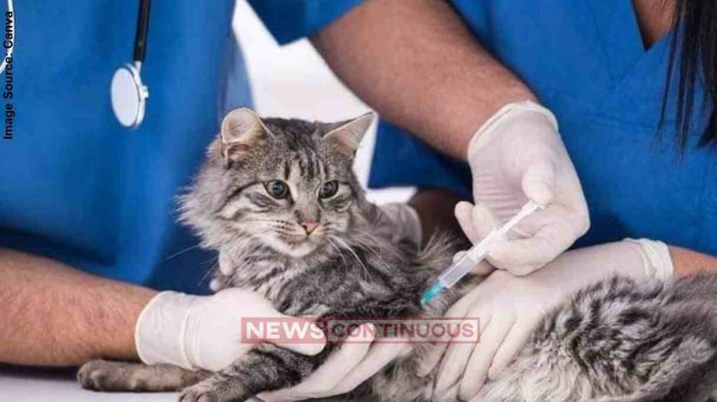 Veterinary Hospital Malad મુંબઈમાં પાલતુ અને ભટકતા પ્રાણીઓ માટે આધુનિક પશુચિકિત્સાલય