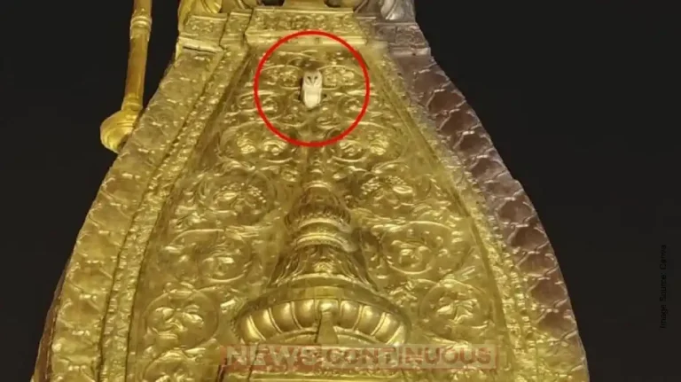 White Owl Spotted on Kashi Vishwanath Temple’s Golden Spire: What Does It Signify?