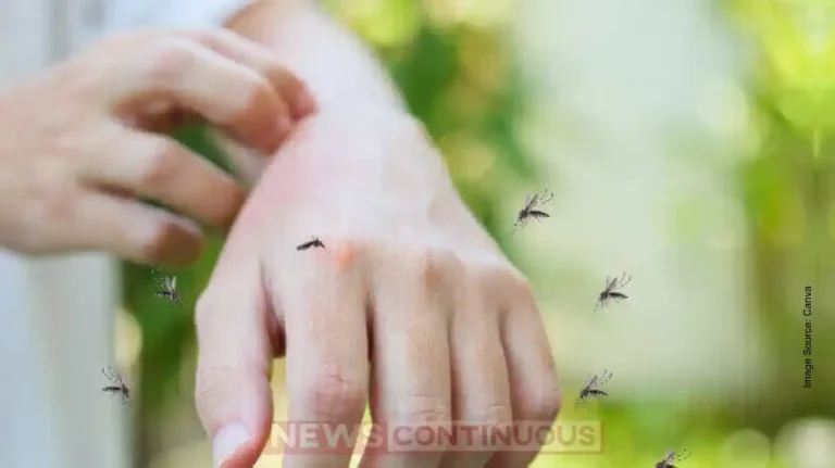 Why Do Mosquitoes Bite Some People More? Know the Scientific Reasons