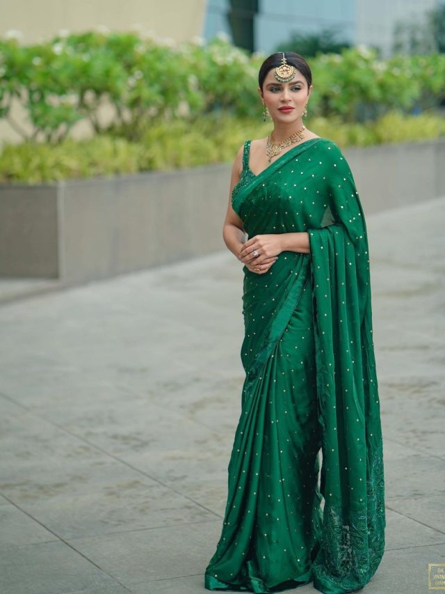 ટીવી માં મોટાભાગે નેગેટિવ રોલ માં જોવા મળેલી આશકા ગોરડિયા છે એક સફળ બિઝનેસ વુમન, જાણો તેની નેટવર્થ વિશે