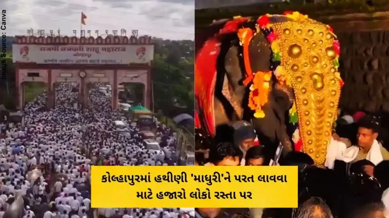 કોલ્હાપુરમાં હથીણી 'માધુરી'ને પરત લાવવા માટે હજારો લોકો રસ્તા પર