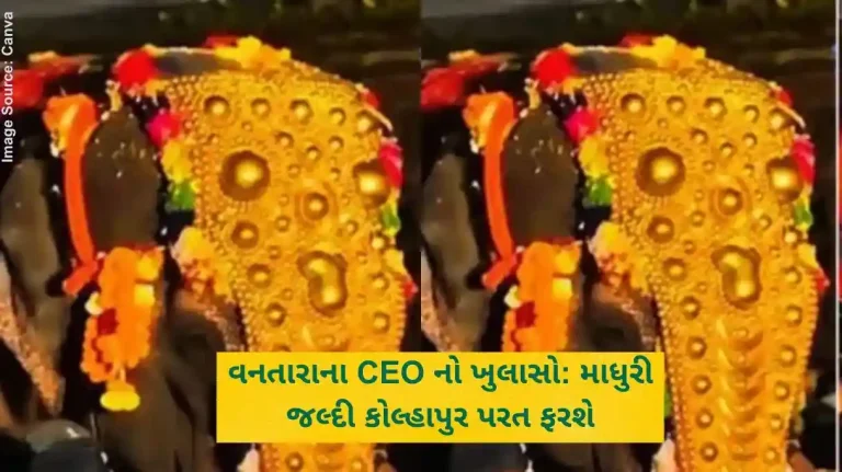 વનતારાના CEO નો ખુલાસો માધુરી જલ્દી કોલ્હાપુર પરત ફરશે
