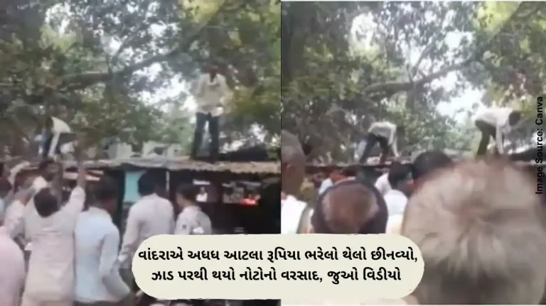 વાંદરાએ અધધ આટલા રૂપિયા ભરેલો થેલો છીનવ્યો, ઝાડ પરથી થયો નોટોનો વરસાદ, જુઓ વિડીયો