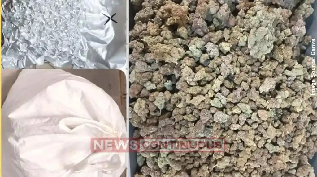 12.26 crore hydroponic weed seized at Mumbai Airport