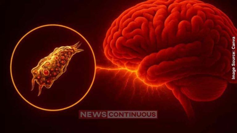 African Swine Fever કેરળના ત્રિશૂર જિલ્લામાં આફ્રિકન સ્વાઇન ફિવરની પુષ્ટિ