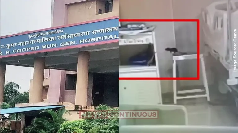 Cooper Hospital Rat Infestation BMC Acts After Complaints