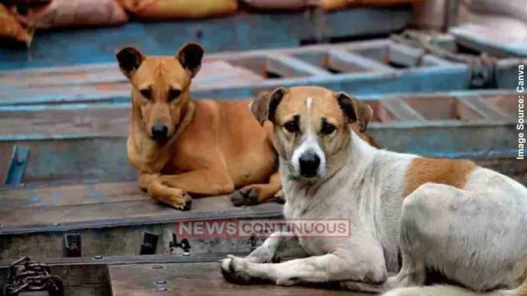 Dog punishment હવે માણસ ની જેમ કુતરાઓ ને પણ થશે આવી સજા