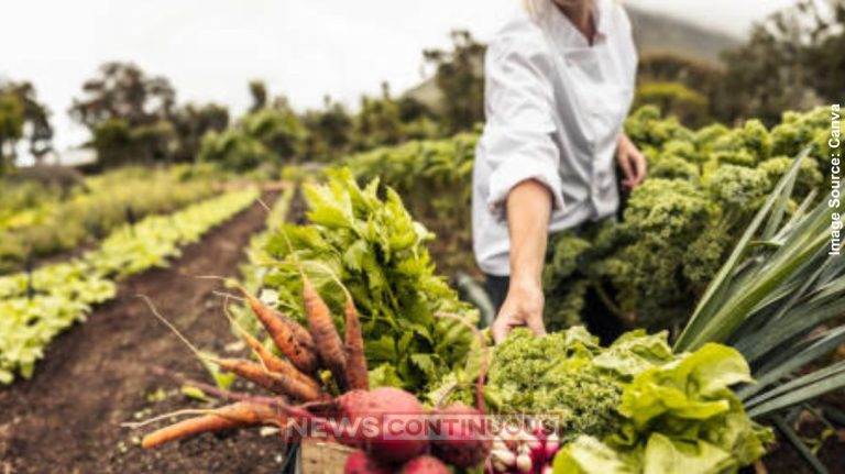 Natural Vegetables પ્રાકૃતિક કૃષિ ‘લેખમાળા-૪૦ સુરત જિલ્લો Natural Vegetables પ્રાકૃતિક કૃષિ ‘લેખમાળા-૪૦ સુરત જિલ્લો