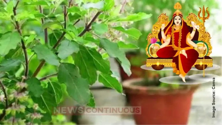 Plant These Auspicious Trees During Shardiya Navratri for Peace and Prosperity
