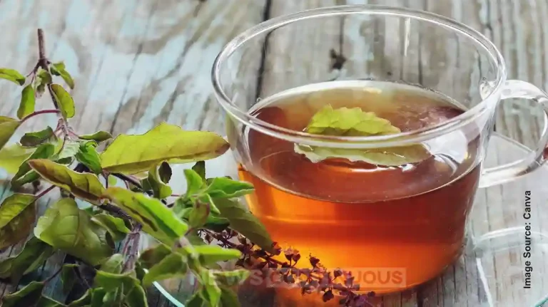 Skin Care Secret Tulsi Water in the Morning Can Give You Naturally Glowing Skin Skin Care Secret: Tulsi Water in the Morning Can Give You Naturally Glowing Skin
