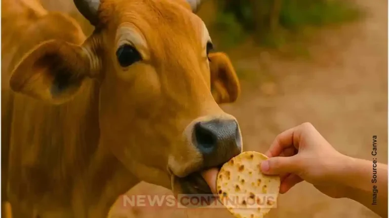 Why Is the First Roti Offered to the Cow? The Mystery Behind Bhoota Yajna