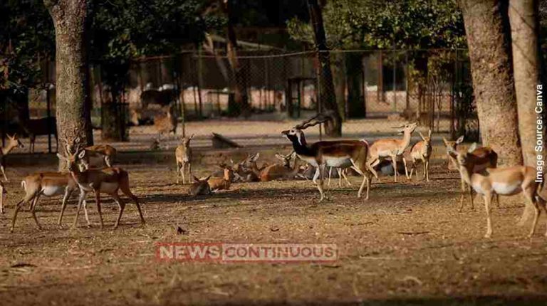 Wildlife Week 2025 ગીર ફાઉન્ડેશન, ગાંધીનગર ખાતે વિવિધ થીમ સાથે ૦૨ થી ૮ ઓક્ટોબર