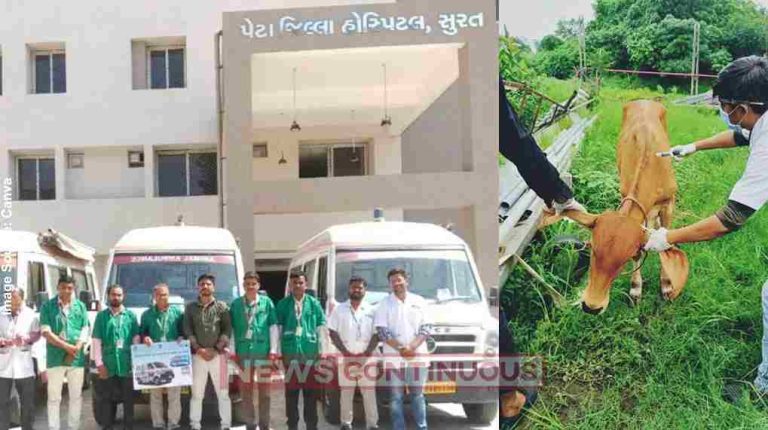 World Animal Day સુરત શહેર અને જિલ્લામાં ૧૯૬૨ કરૂણા એનિમલ હેલ્પલાઈન