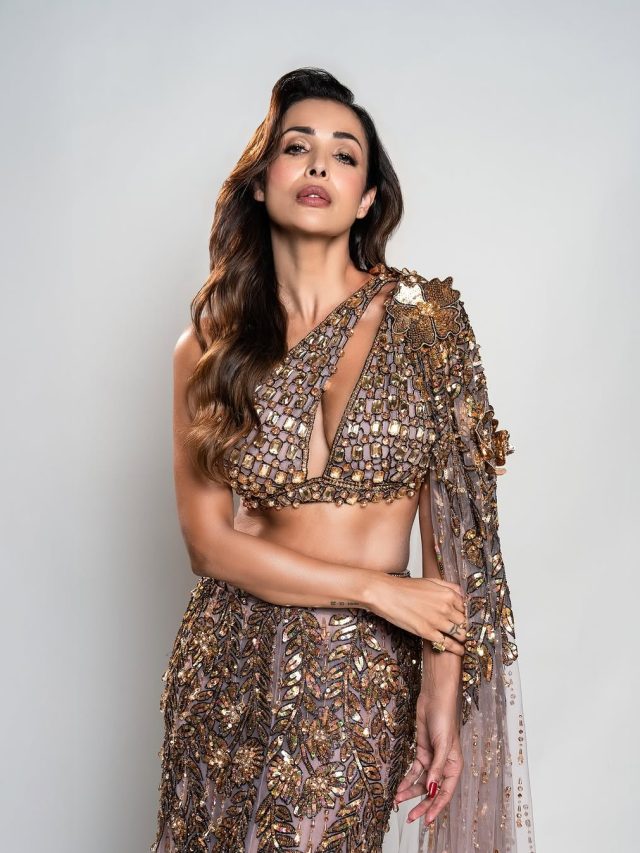 મેટાલિક લહેંગા માં એકદમ ગ્લેમરસ જોવા મળી મલાઈકા અરોરા, અભિનેત્રી એ શેર કરી તસવીરો