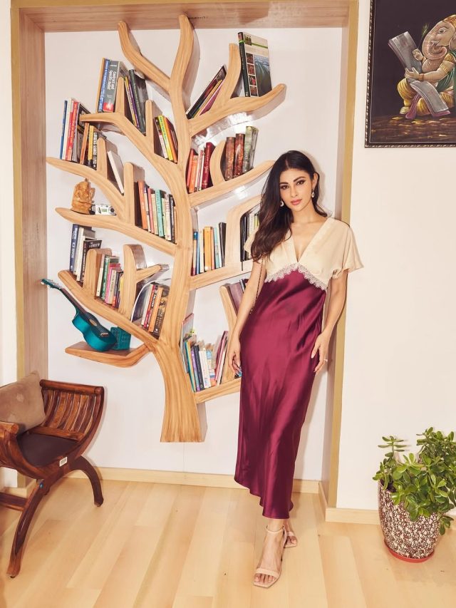 સ્ટાઈલિશ ડ્રેસ માં મૌની રોય એ આપ્યા એક થી એક કિલર પોઝ, અભિનેત્રી ની તસવીરો થઇ વાયરલ