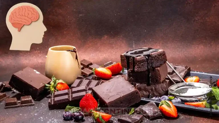 Dark Chocolate and Berries Boost Memory and Reduce Stress, Study Reveals Surprising Benefits