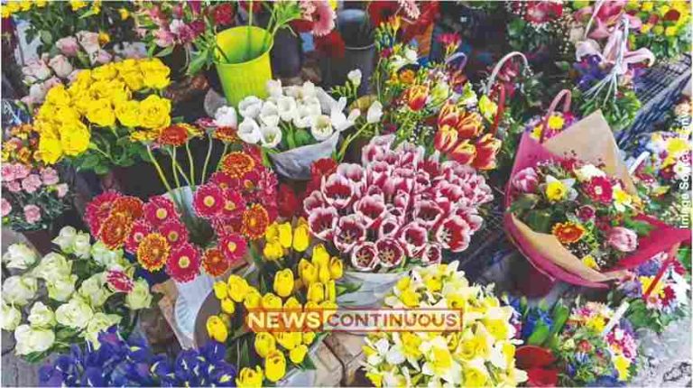 Flower demand ફૂલબજારમાં તેજી લગ્ન, પૂજા અને ચૂંટણી સભાઓને કારણે ફૂલોની માં
