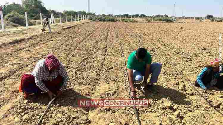 Kutch green fodder initiative રિલાયન્સ ફાઉન્ડેશનના સહયોગથી કચ્છમાં