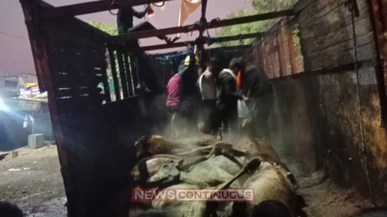 Nagpur Fire મહારાષ્ટ્રમાં 32 પશુઓ જીવતા બળ્યા, કતલખાને જતા પહેલા જ