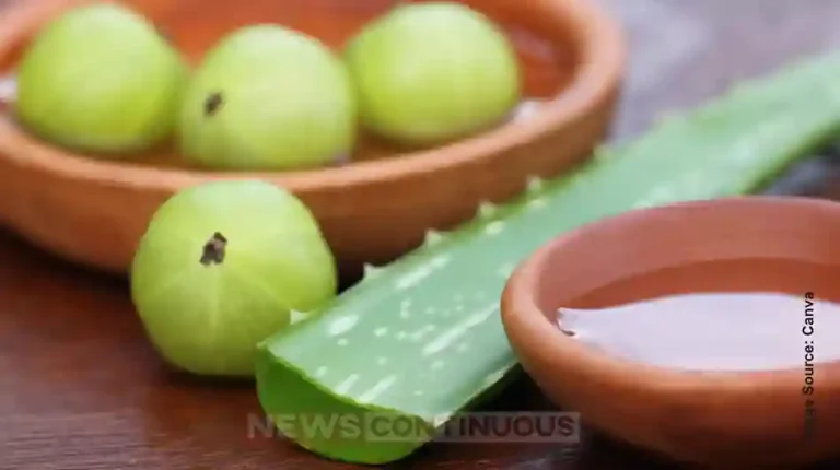 Say Goodbye to Hair Fall: Amla and Aloe Vera Can Be Your Natural Hair Saviors