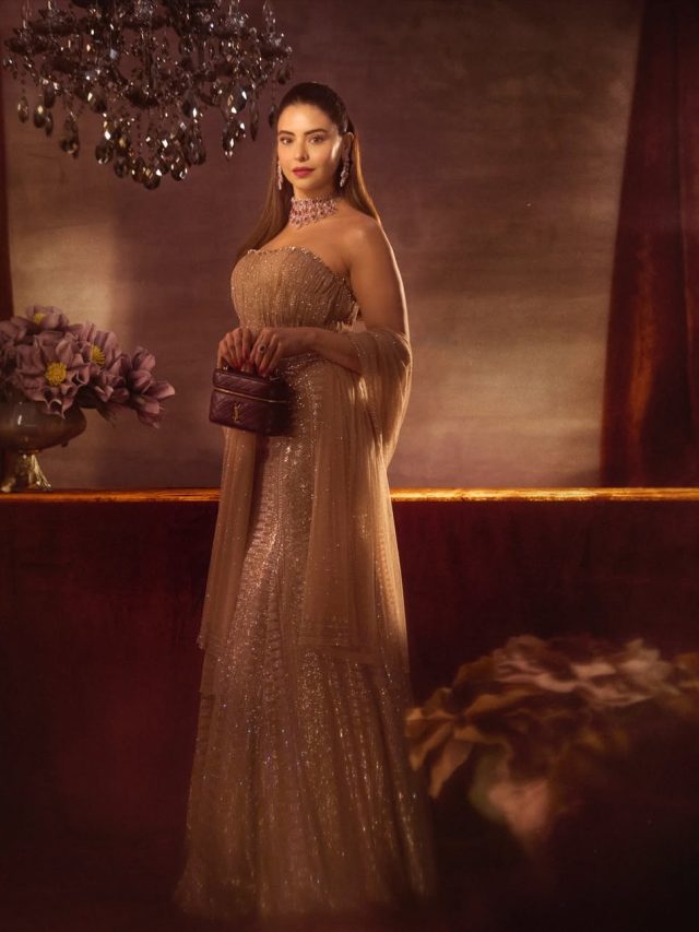 લહેંગા ચોલી માં આમના શરીફ એ શેર કરી તસવીરો, જુઓ ફોટોગ્રાફ્સ