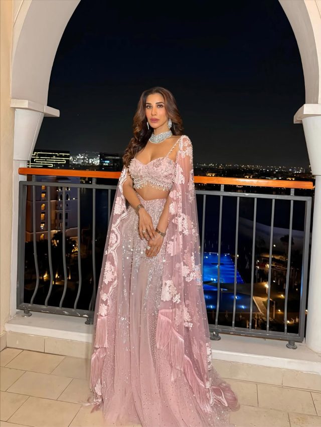રોઝ ગોલ્ડ લહેંગા માં સોફી ચૌધરી એ આપ્યા કિલર પોઝ, અભિનેત્રી ની તસવીરો થઇ વાયરલ