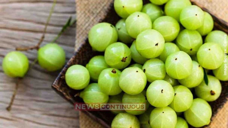 Amla હેલ્થ ટિપ્સ આંબળાનો રસ પીવો કે કાચું આંબળું ખાવું સ્વાસ્થ્ય માટે
