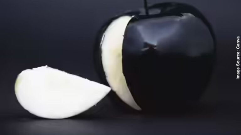 Black Diamond Apple: 700 રૂપિયામાં વેચાય છે આ 'કાળું' ફળ, હૃદય અને ઇમ્યુનિટી માટે