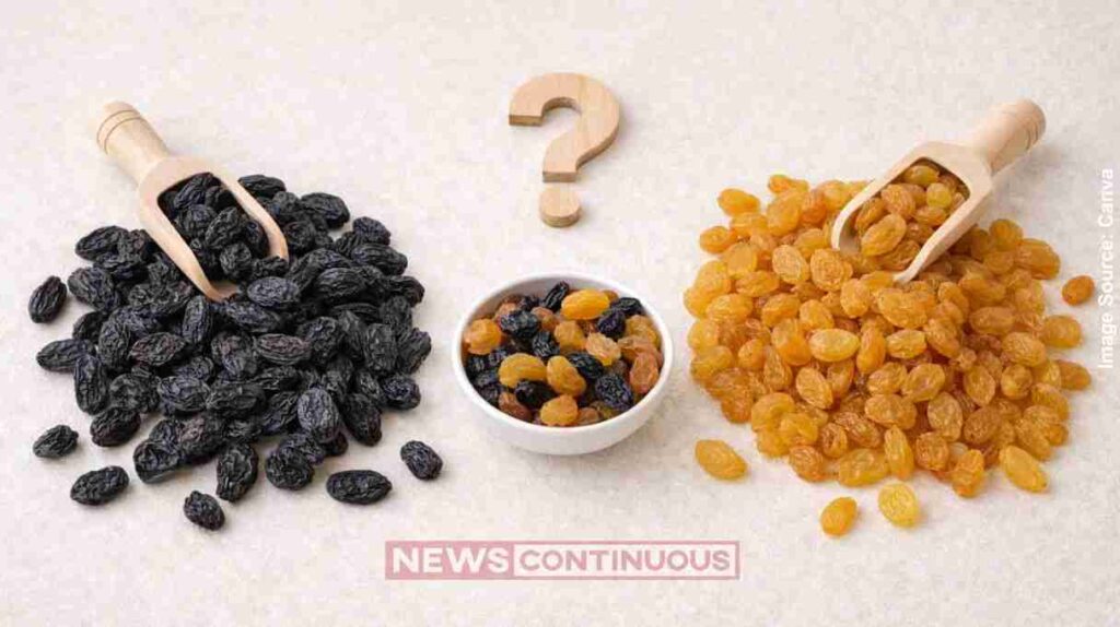 Black vs Golden Raisins Benefits Black Raisins vs. Golden Raisins કાળી કે ગોલ્ડન કિશમિ