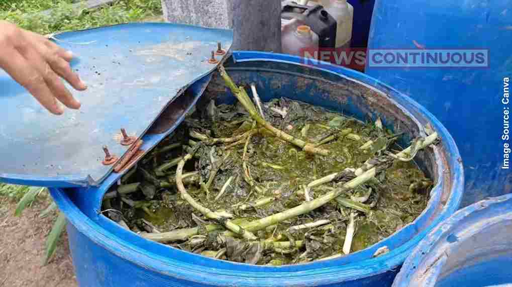 Beejamrut પ્રાકૃતિક કૃષિ ‘લેખમાળા-૪૯ સુરત જિલ્લો