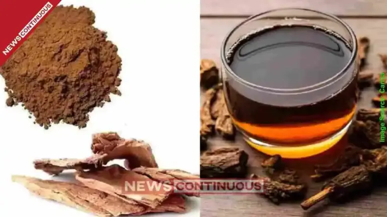 Benefits of Arjun Bark Water How to consume Terminalia arjuna for heart health and immunity