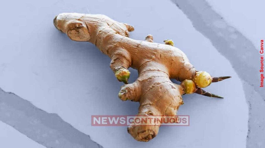 Ginger Benefits for Skin આદુના ટુકડા સાથે મિક્સ કરો