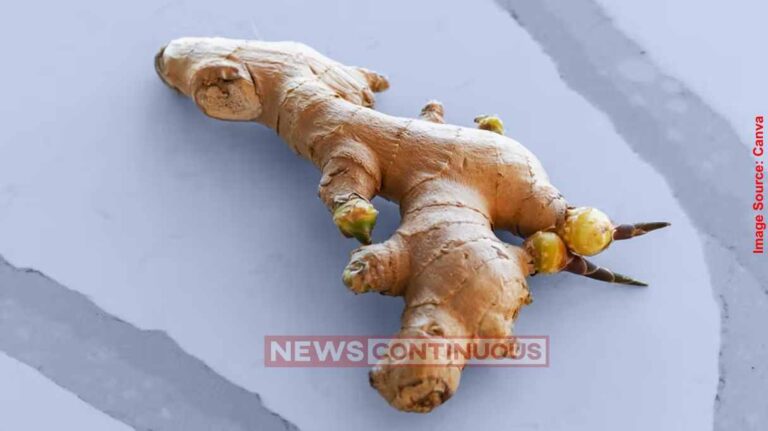 Ginger Benefits for Skin આદુના ટુકડા સાથે મિક્સ કરો