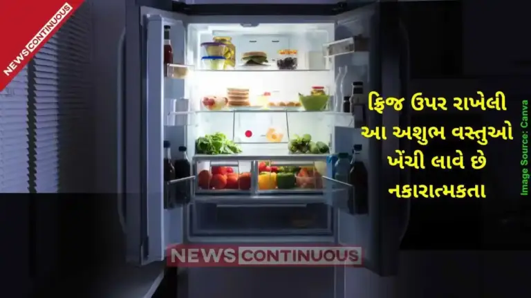 Vastu Tips Never keep these items on top of the refrigerator to avoid financial loss and negative energy at home.