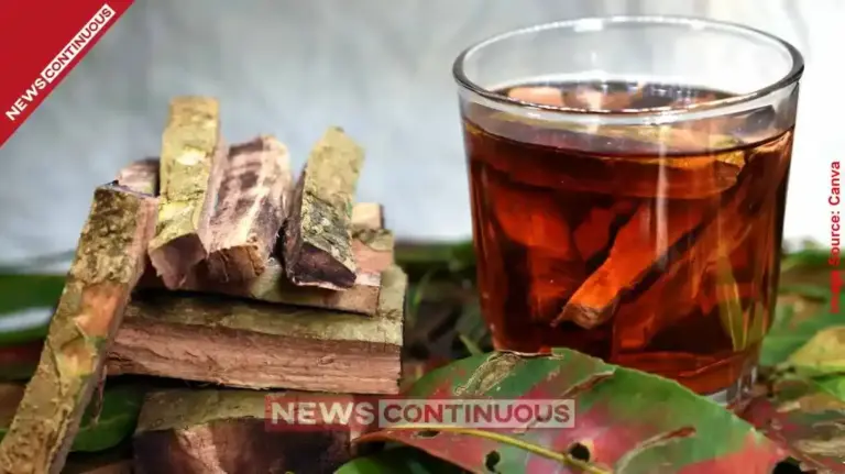 Health Benefits of Arjuna Bark: From Heart health to Diabetes; know why this Ayurvedic herb is essential for your diet.
