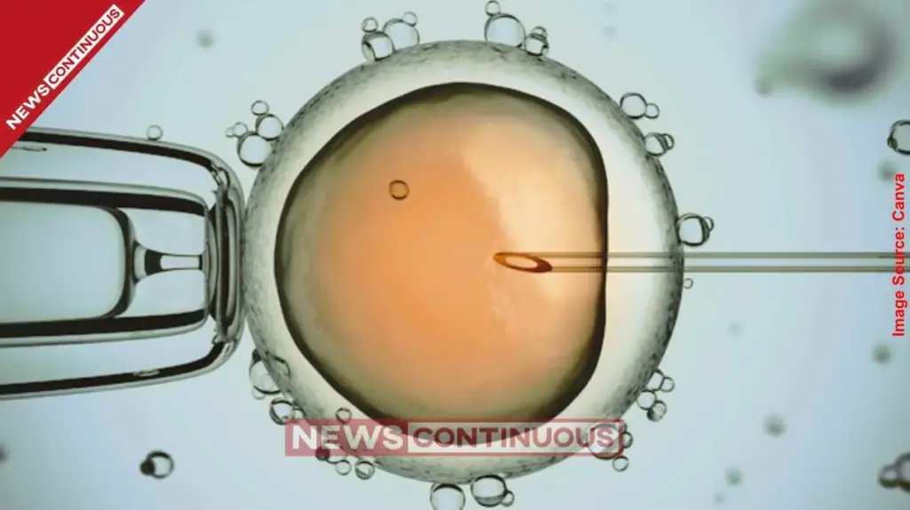 Illegal Egg Donation Racket Busted in Thane Over 20 Needy Women Exploited; 3 Women Arrested.