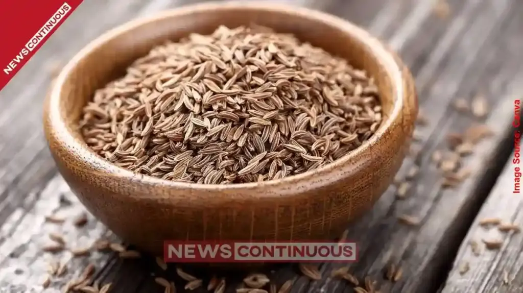 Jeera Awaits New Season Signs of Supply Outpacing Demand NCDEX Price Analysis 2026