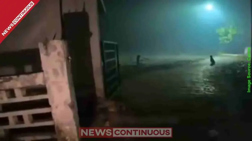 Viral Video Food Delivery Boy Gets Biryani Order from Graveyard at Midnight; Scary Encounter Goes Viral