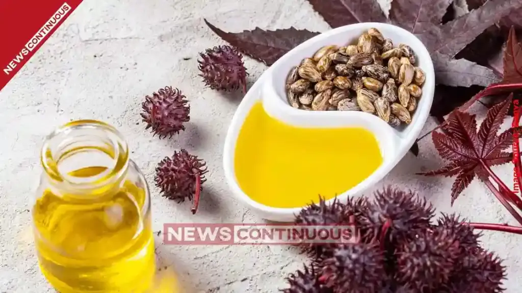 Castor Market Slumps as China Tightens Export Grip