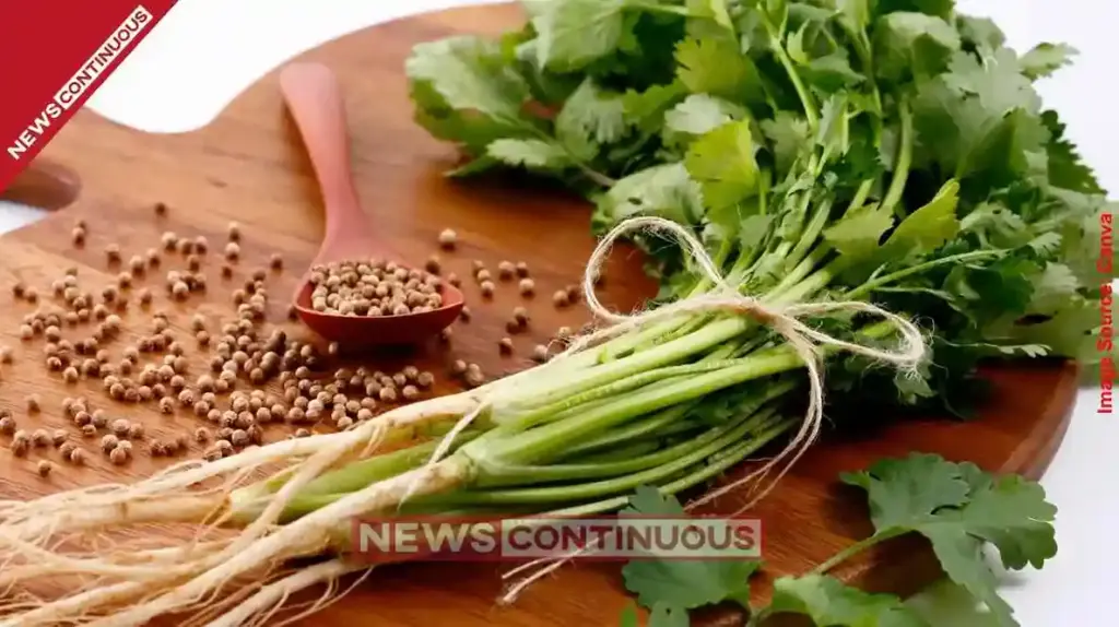 Coriander Price India ધાણામાં સ્થાનિક અને વૈશ્વિક નીચા પાકના અંદાજથી ભાવમાં તેજી