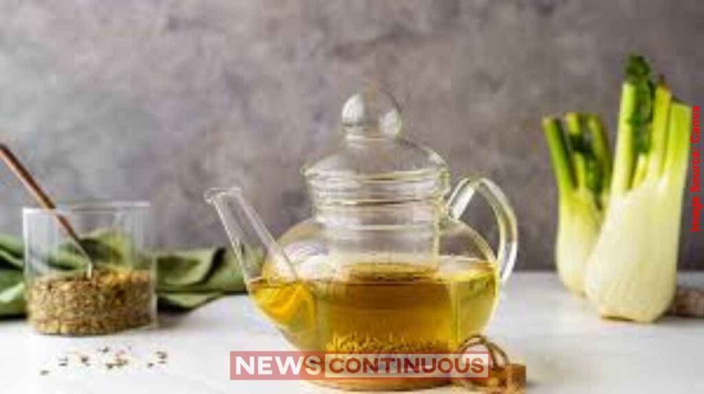 Fennel Cumin Water Weight Loss ચરબી ઓગાળવાનો રામબાણ ઈલાજ વરિયાળી અને